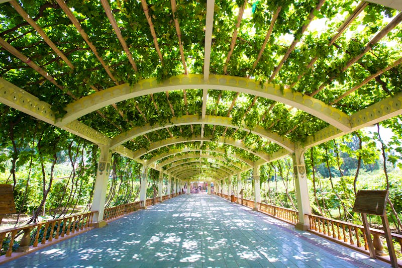 Weinreben in Urumqi, Xinjiang (China) - &copy;Jade - stock.adobe.com