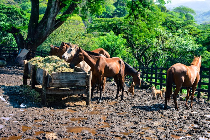 Matagalpa in Nicaragua - &copy;travelphotos - stock.adobe.com