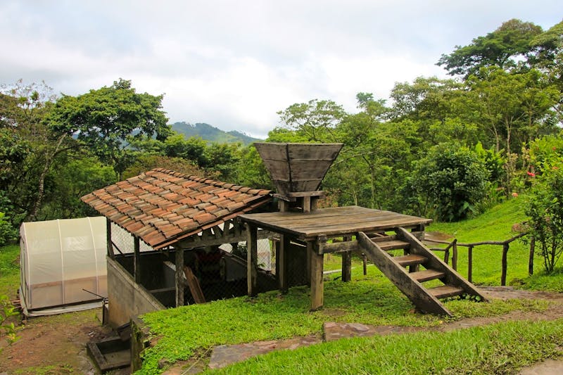 Kaffeefarm in Matagalpa, Nicaragua - &copy;77 0 97 0 114 0 116 0 105 0 110 0 32 0 83 0 99 0 104 0 110 0 101 0 105 0 116 0 101 0 114 0 32 0 109 0 97 0 114 0 116 0 105 0 110 0 64 0 114 0 101 0 105 0 115 0 101 0 103 0 114 0 97 0 102 0 46 0 99 0 104 0 0 0