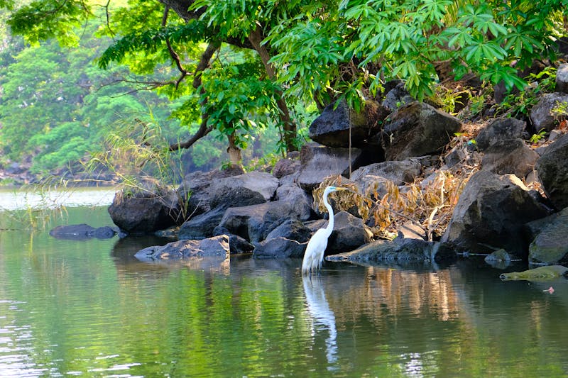 Isletas de Granada - &copy;Marko - stock.adobe.com