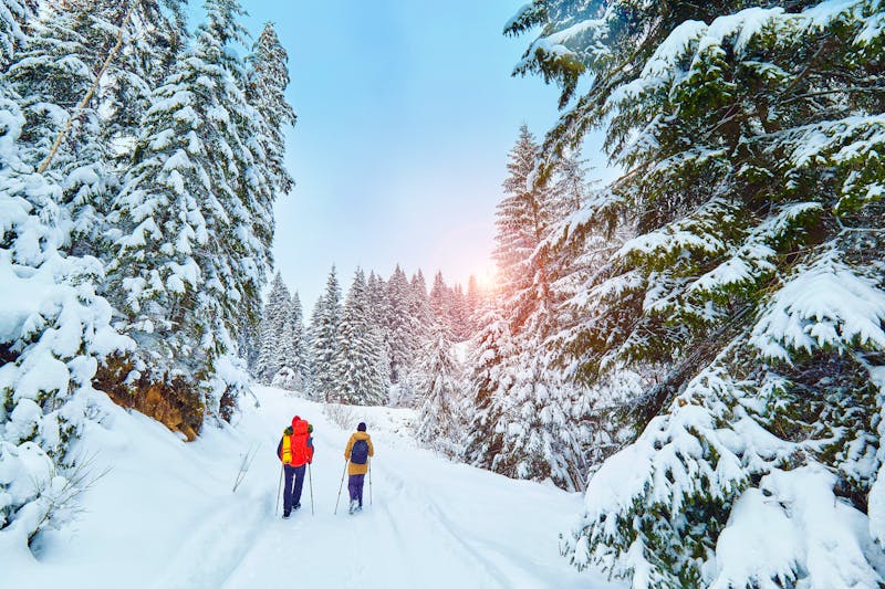 Wandern durch den Winterwald - &copy;6okean - stock.adobe.com