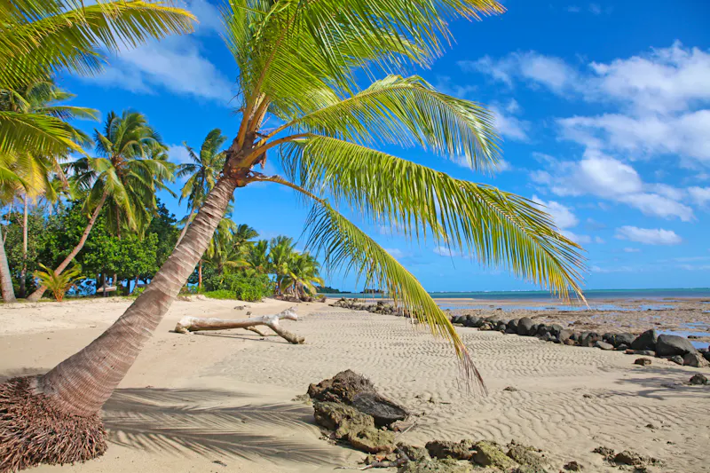 Strand auf der Fidschi-Insel Vanua Levu bei Savusavu - &copy;catahula - stock.adobe.com