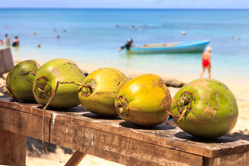 Kokosnüsse auf der Fidschi-Insel Dravuni - &copy;Kevin Hellon - stock.adobe.com