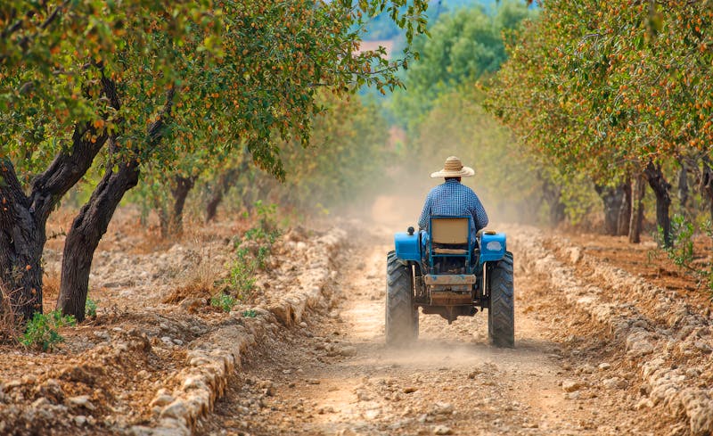 Bauer im Val di Noto - Sizilien - &copy;Maryna - stock.adobe.com