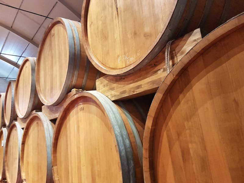 Weinfässer - &copy;Maja Petermann - Eberhardt TRAVEL