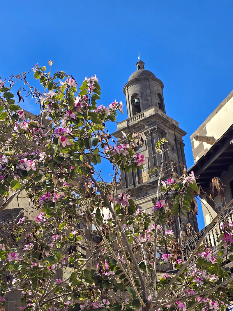 Vegueta, Las Palmas, Gran Canaria - &copy;Katrin Jähne - Eberhardt TRAVEL