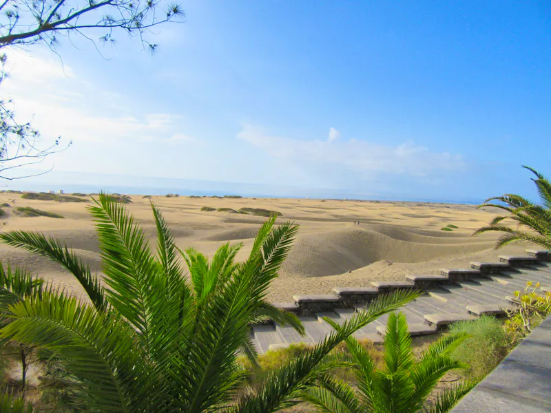 Maspalomas (1) - &copy;Francisco Javier Burgos Gutierrez - Eberhardt TRAVEL