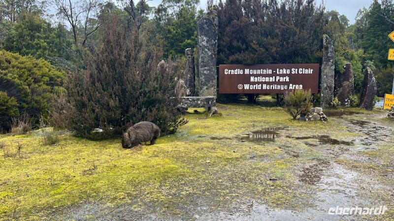 Eingang zum Cradle Mountain National Park - &copy;Valentin Meyer-Plath - Eberhardt TRAVEL