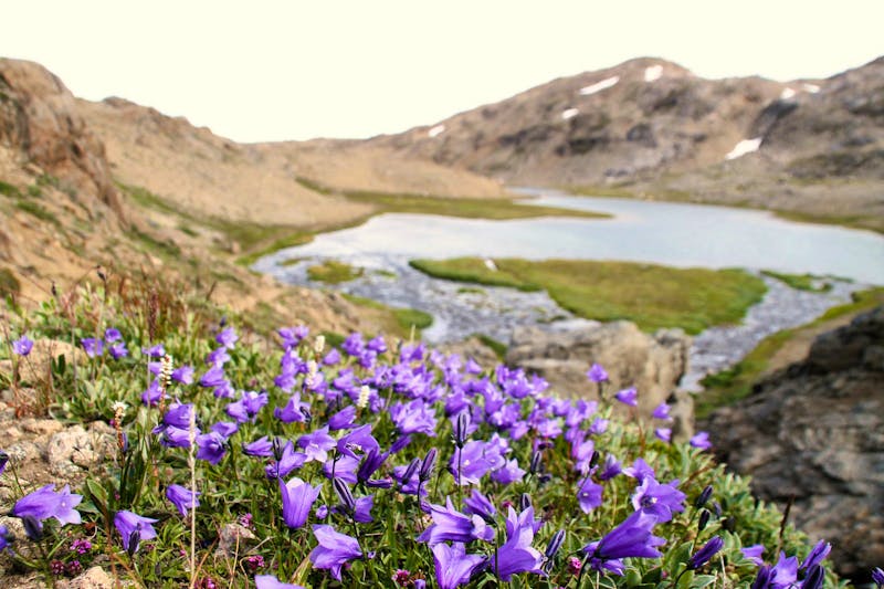 Wanderung durchs Blumental von Tasiilaq - &copy;Jacob Spangenberg - Eberhardt TRAVEL