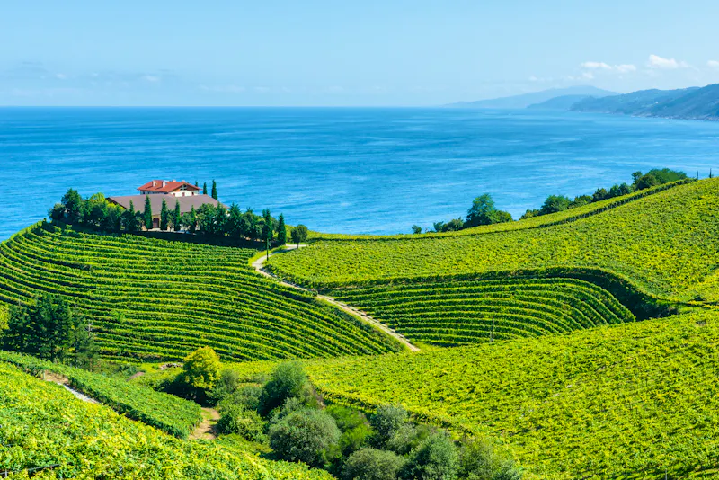 Txakoli-Weinberge im Baskenland, Spanien - &copy;Noradoa - stock.adobe.com