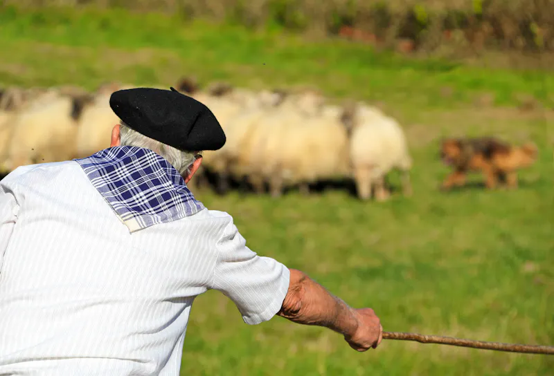 Schäfer im Baskenland  - &copy;txakel - stock.adobe.com
