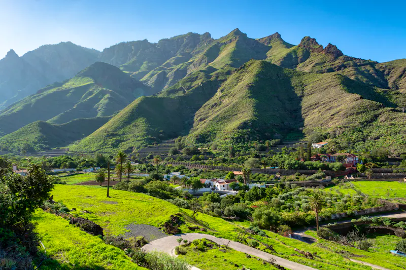 Obstanbau und Weinfelder im Tal von Agaete  - &copy;barmalini - stock.adobe.com
