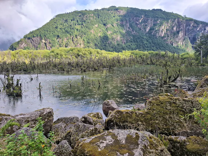 entlang der Carretera Austral - &copy;Sylvia Sann