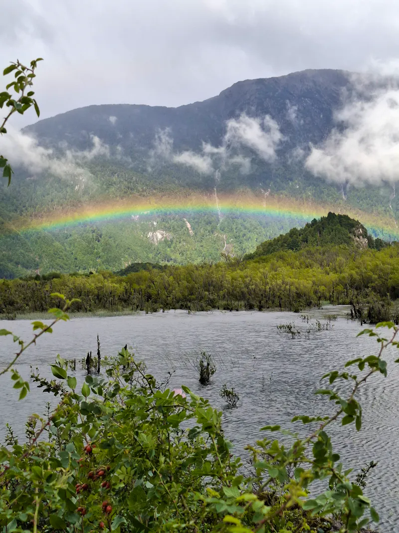 entlang der Carretera Austral - &copy;Sylvia Sann