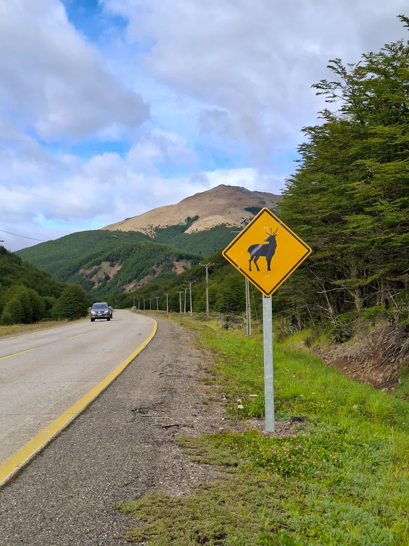 entlang der Carretera Austral - &copy;Sylvia Sann