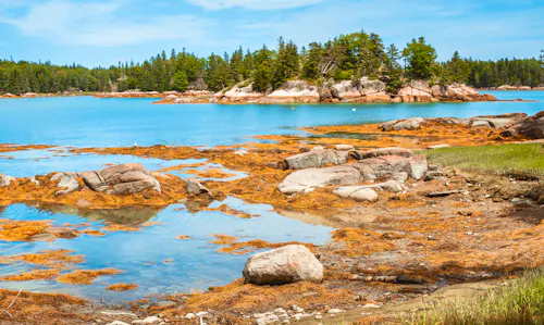 Bay of Fundy in Maine &ndash; &copy; Katie Dobies - stock.adobe.com