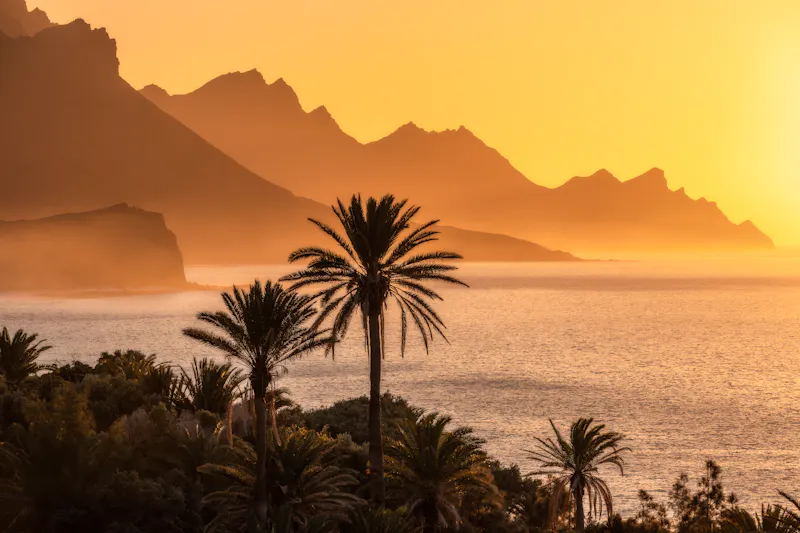 COLA DE DRAGÓN, AGAETE (SPANIEN) - &copy;BENY AGUIAR