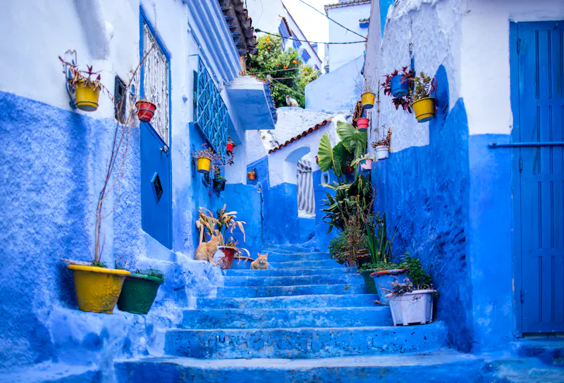 Chefchaouen  Marokko - &copy;Dasha Petrenko - stock.adobe.com