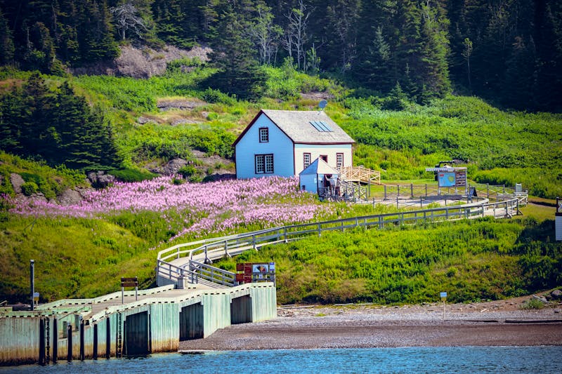 Bootstour zum Percé Rock von der Insel Bonaventure - &copy;Nicolas VINCENT - stock.adobe.com