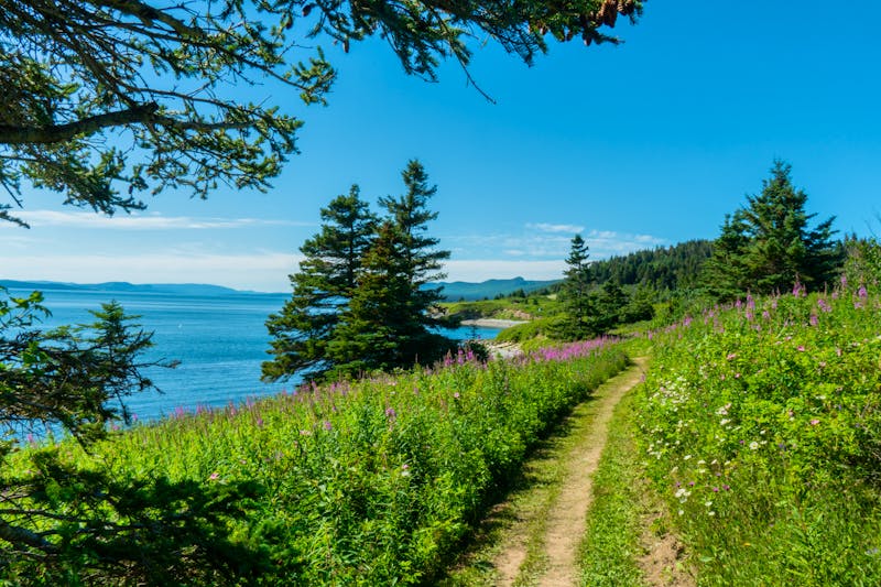 Küstenwanderweg am Atlantik im Forillon Nationalpark - &copy;Etienne - stock.adobe.com