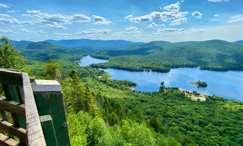 Baumkronenpfad in den Laurentian Mountains in Quebec - &copy;Stephanie - stock.adobe.com