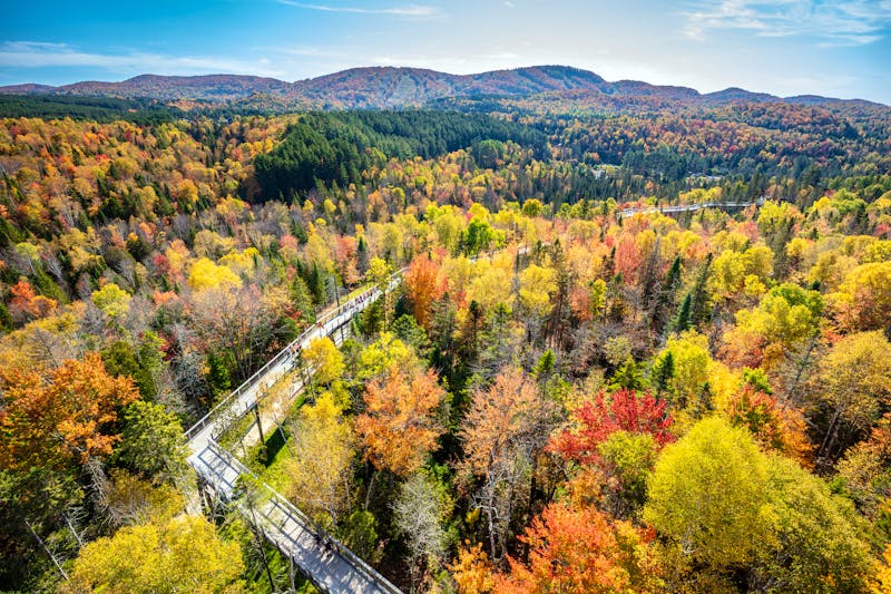Baumkronenpfad in den Laurentian Mountains - Sentier des Cimes - &copy;peteleclerc - stock.adobe.com