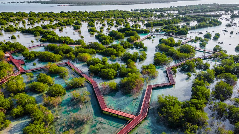 Naturschutzgebiet Jubail Mangrove Park - &copy;Malangusha - stock.adobe.com