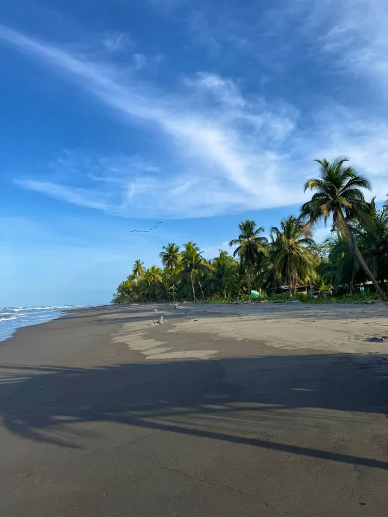 Strand, Lirio Lodge - &copy;Lirio Lodge, Costa Rica