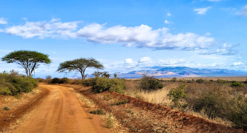  Landschaft Tsavo West - &copy;Susanne Schirmann - Eberhardt TRAVEL