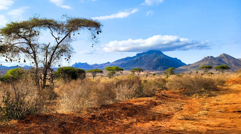 Landschaft Tsavo West - &copy;Susanne Schirmann - Eberhardt TRAVEL