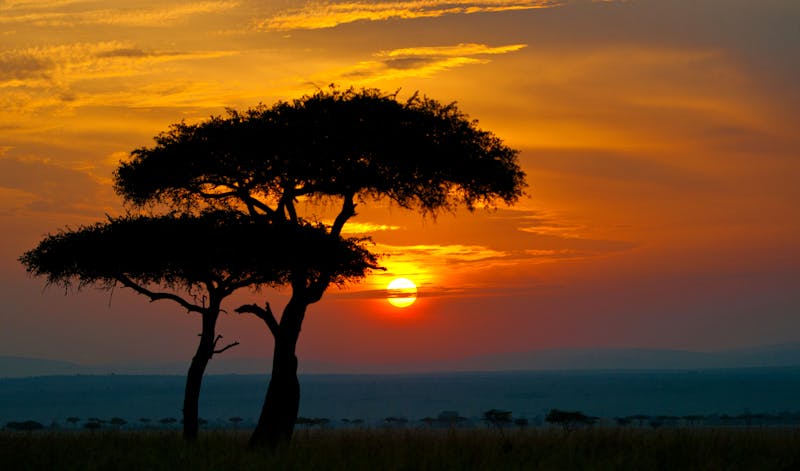 Sonnenuntergang in Kenia - &copy;Alexandra Giese - stock.adobe.com