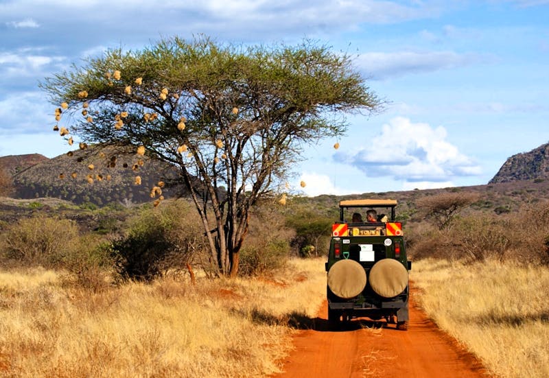 Safari Tsavo-West - &copy;Susanne Schirmann - Eberhardt TRAVEL