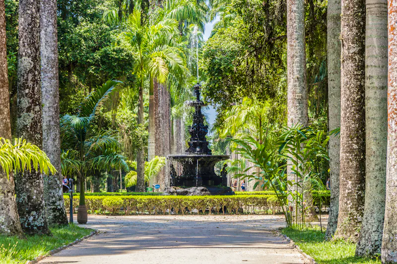 Botanischer Garten Rio de Janeiro - &copy;BrunoMartinsImagens - stock.adobe.com