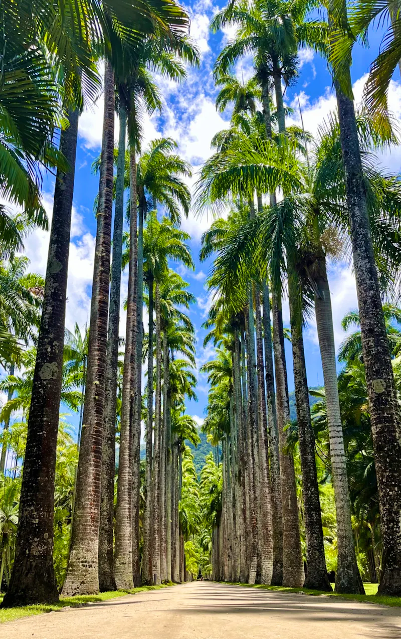 Botanischer Garten Rio de Janeiro - &copy; Manuel Gonzalez Urrutia - Eberhardt TRAVEL