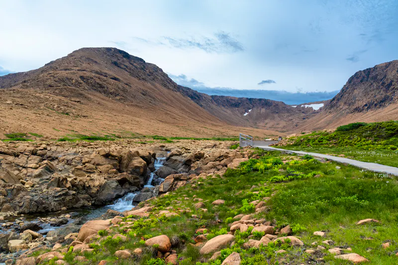 Fahrt durch den Gros Morne Nationalpark in Neufundland - &copy;John - stock.adobe.com