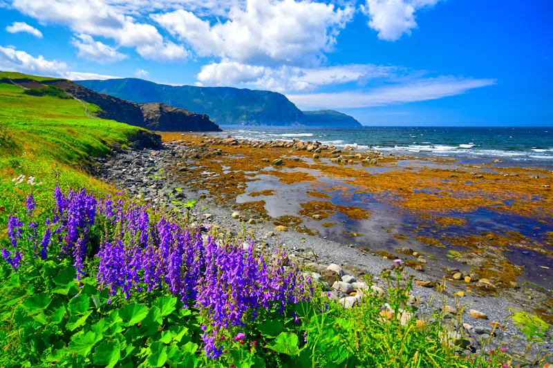 Gros Morne Nationalpark bei Rocky Harbour - &copy;Doug Gordon - stock.adobe.com