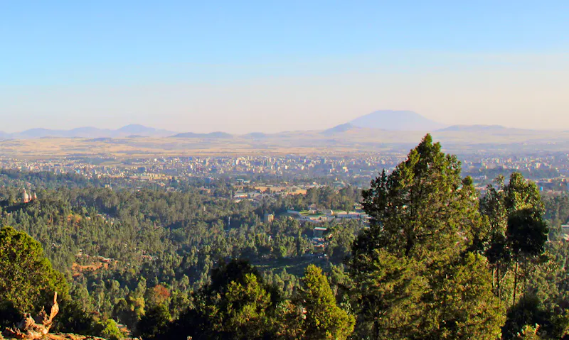 Blick über Addis Abeba - &copy;Fedor Sidorov - stock.adobe.com