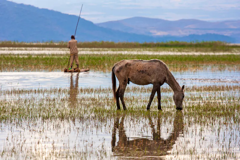 Bauer am Ziway-See in Äthiopien - &copy;Schilo - stock.adobe.com
