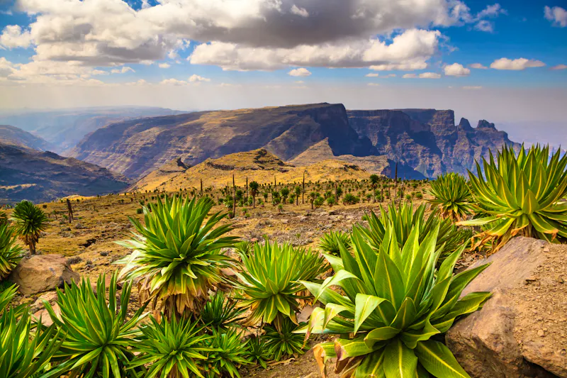 Simien Mountains Nationalpark im Norden von Äthiopien - &copy;Radek - stock.adobe.com
