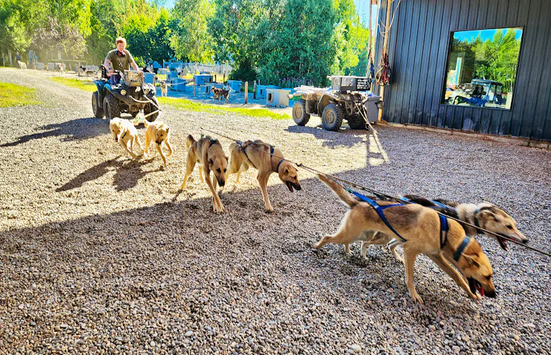 Besuch einer Husky-Station bei Talkeetna in Alaska - &copy;Petra Hady - Eberhardt TRAVEL