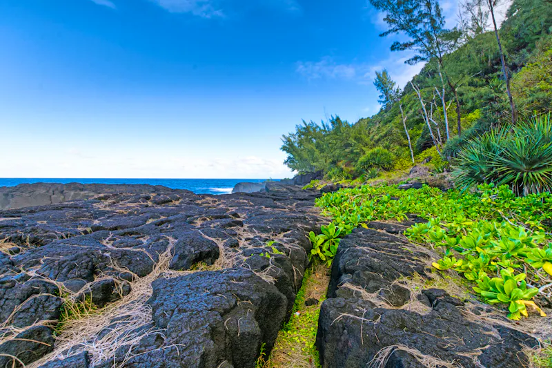 Vulkangestein an der Südküste von Reunion - &copy;Gael Fontaine - stock.adobe.com