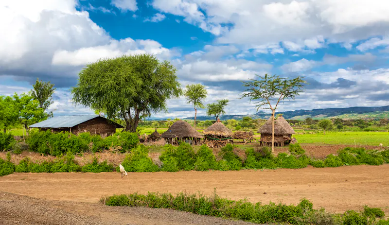  Kleiner Bauernhof mit Rindern in der Nähe von Karat Konso, Äthiopien - &copy;ArtushFoto - stock.adobe.com