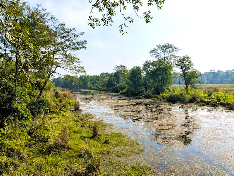 Jeeptour im Chitwan Nationalpark, Nepal - &copy;Teresa Rumpel - Eberhardt TRAVEL