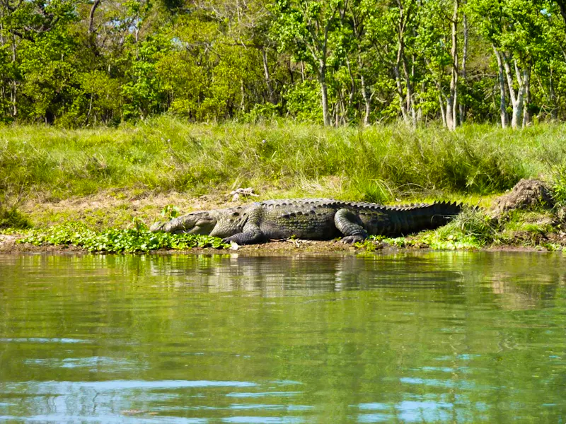 Bootsfahrt im Chitwan-Nationalpark - &copy;Cornelia Ritter - Eberhardt TRAVEL