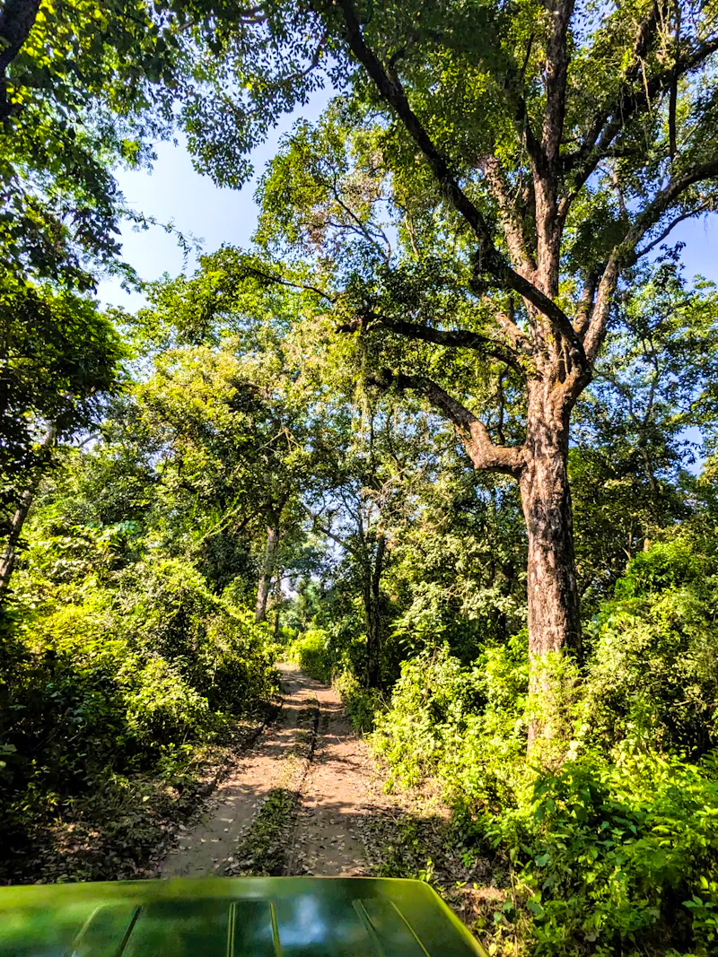 Jeeptour durch den Chitwan Nationalpark - &copy;Teresa Rumpel - Eberhardt TRAVEL