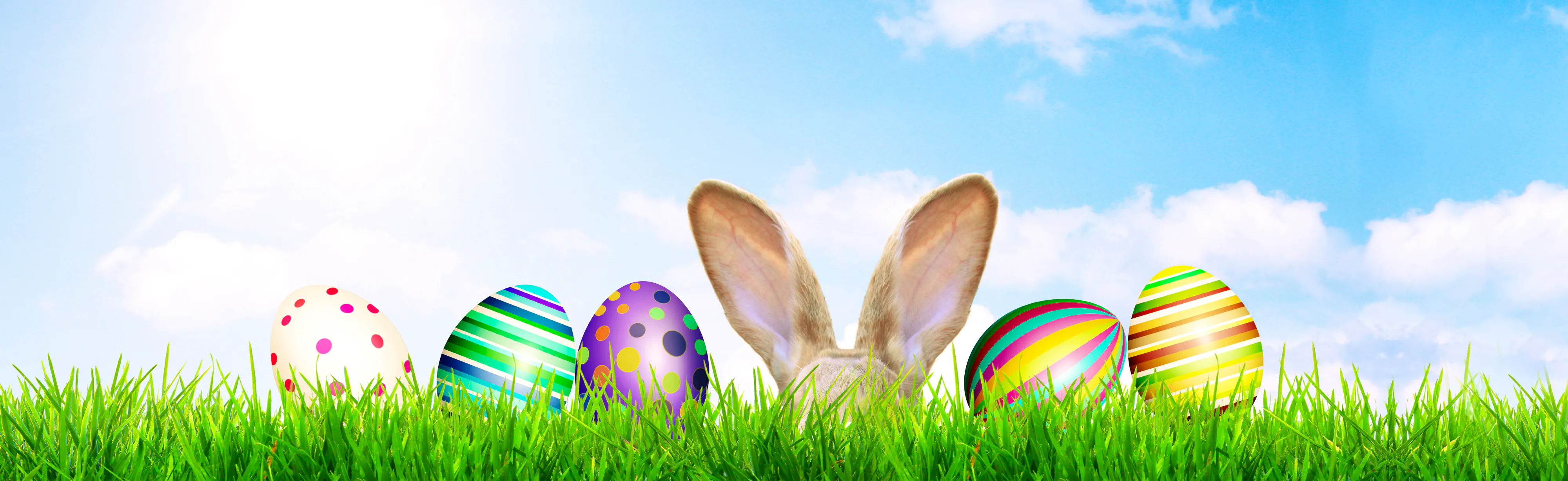 Thaut Images - stock.adobe.com