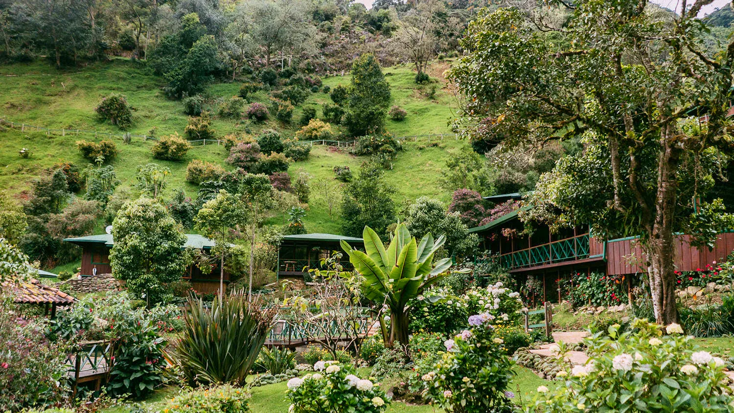 Trogón Lodge&nbsp;&ndash;&nbsp;&copy;&nbsp;Trogón Lodge