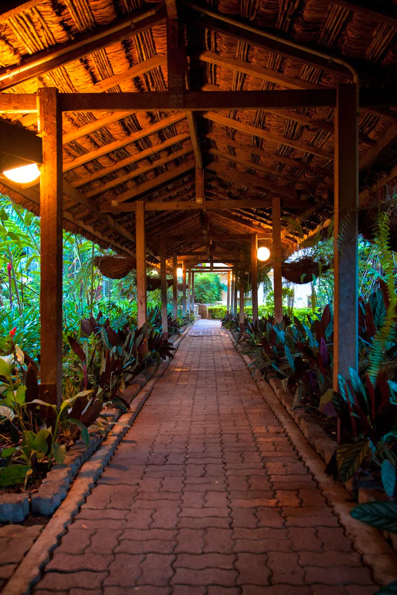 Bird of Paradise Hotel&nbsp;&ndash;&nbsp;&copy;&nbsp;Bird of Paradise Hotel