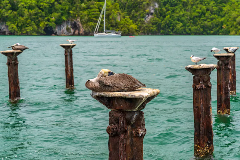Nationalpark Los Haitises, Dominikanische Republik - &copy;robertobinetti70 - stock.adobe.com