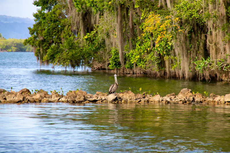 Nationalpark Los Haitises, Dominikanische Republik - &copy;Lucie - stock.adobe.com